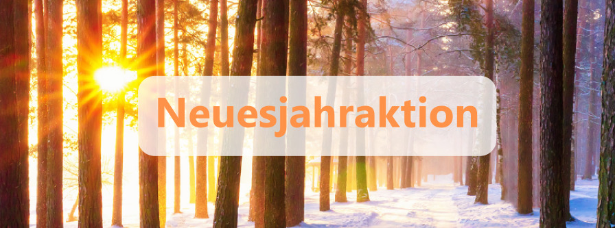 Neuesjahraktion 2022